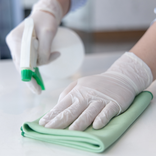 SILVERSIL & CLEANING PRODUCTS